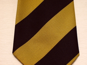 Princess of Wales' Royal Regiment polyester striped tie 100 - Click Image to Close