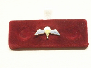 Parachute Qualification wings lapel pin - Click Image to Close