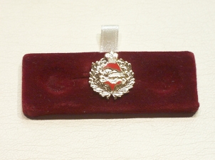 Kings Own Royal Border Regiment lapel badge - Click Image to Close