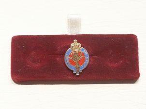 Welsh Guards lapel pin - Click Image to Close