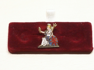 Norfolk Regiment lapel pin - Click Image to Close