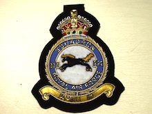 222 Squadron KC blazer badge - Click Image to Close