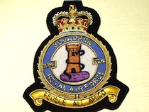 224 squadron RAF QC blazer badge - Click Image to Close