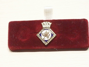 HMS Drake lapel badge - Click Image to Close