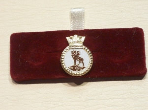 HMS Newfoundland lapel badge - Click Image to Close