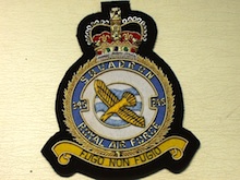 245 Squadron QC wire blazer badge - Click Image to Close