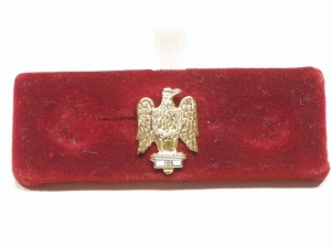 1st Royal Dragoons lapel badge - Click Image to Close