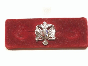 Queens Dragoon Guards lapel badge - Click Image to Close