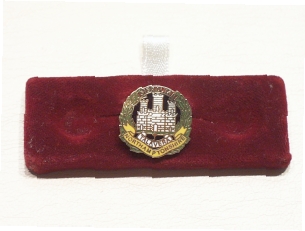 Northamptonshire Regiment lapel pin - Click Image to Close