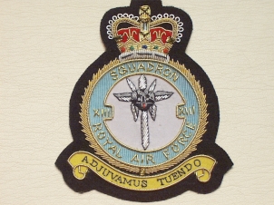 13 Sqdn RAF QC blazer badge - Click Image to Close