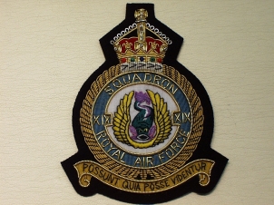 19 Sqdn KC RAF blazer badge - Click Image to Close