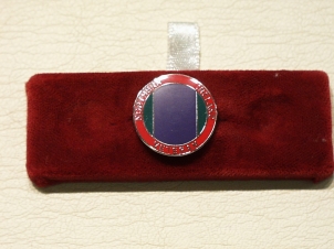 Northern Ireland Veterans lapel pin - Click Image to Close