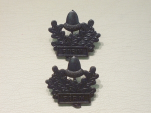 The Mercian Regiment collar badges - Click Image to Close