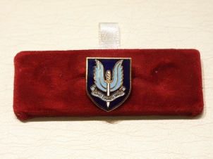 SAS shield design lapel pin - Click Image to Close
