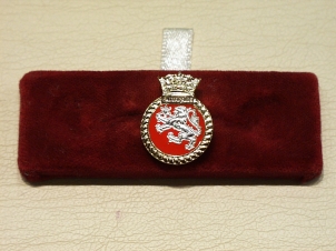 HMS Enterprise lapel pin - Click Image to Close