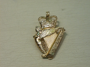 Ulster Defence regiment cap badge - Click Image to Close