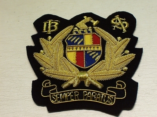 Birmingham Fire & Ambulance Service blazer badge - Click Image to Close