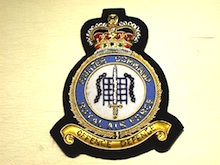 RAF Fighter Command QC blazer badge 110 - Click Image to Close