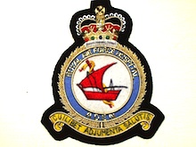 Royal Air Force Hospital Aden wire blazer badge - Click Image to Close